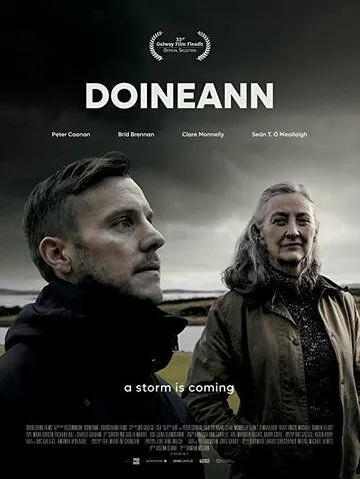 Постер: Шторм / Doineann (2021)