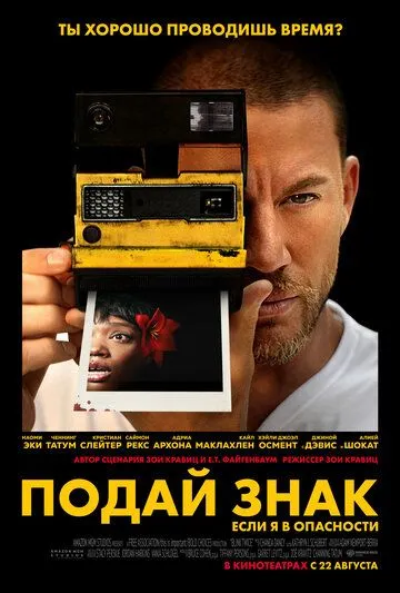Постер: Подай знак / Blink Twice (2024)