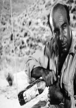 Кадр из Охота (1966) Кадр 2 из фильма Охота / La caza (1966)