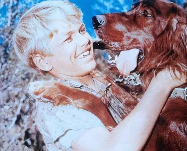 Кадр из Большой Ред (1962) Кадр 3 из фильма Большой Ред / Big Red (1962)