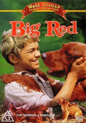 Постер: Большой Ред / Big Red (1962)
