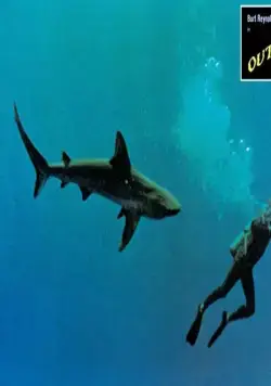 Кадр из Акула (1969) Кадр 2 из фильма Акула / Shark! (1969)