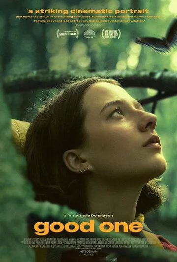 Постер: Хорошенькая / Good One (2024)