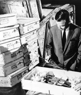 Кадр из Тайна золотистых нарциссов (1961) Кадр 3 из фильма Тайна золотистых нарциссов / Das Geheimnis der gelben Narzissen (1961)