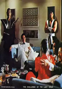Кадр из Задание леди-ниндзя (1983) Кадр 3 из фильма Задание леди-ниндзя / Lang nu shen long jian (1983)
