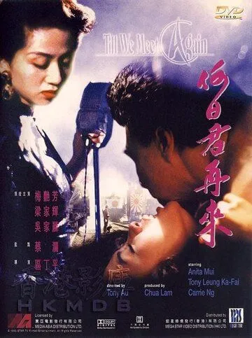 Постер: Пока мы не встретимся вновь / Ho yat gwan tsoi loi (1991)