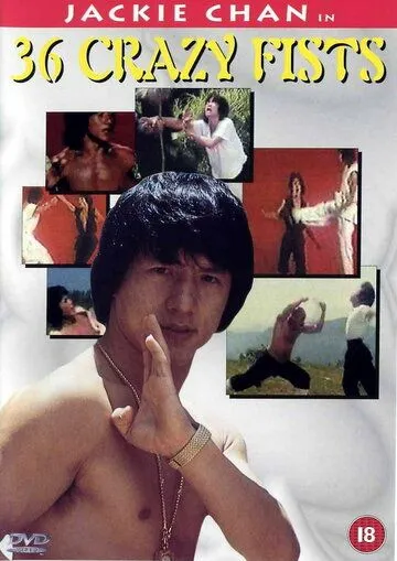 Постер: Мастер и боксер / San shi liu mi xing quan (1977)