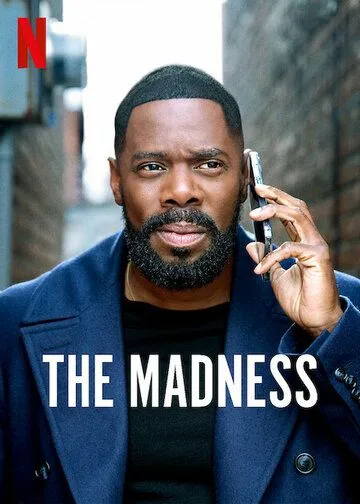 Постер: Безумие / The Madness (2024)