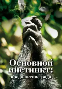 Постер: Основной инстинкт. Продолжение рода / Mating Machine 4K (2021)