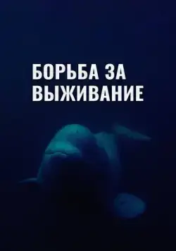 Постер: Борьба за выживание / Struggle for survival (2017)