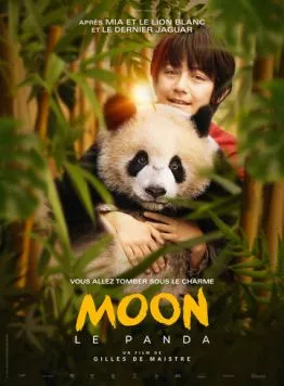 Постер: Моя панда / Moon le panda (2025)