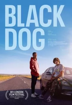 Постер: Тоска / Black Dog (2024)