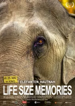 Постер: Слоны как они есть / Life Size Memories (2012)