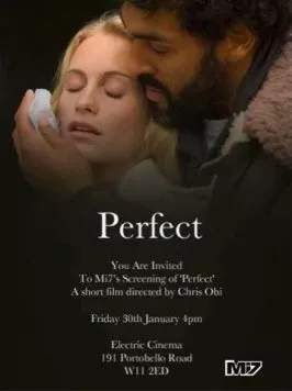 Постер: Совершенный / Perfect (2009)