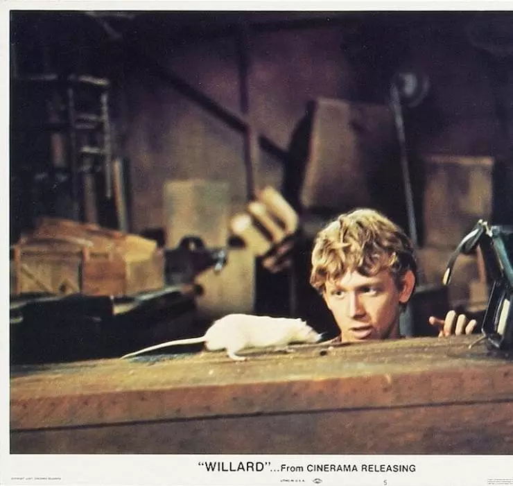 Кадр из Уиллард (1971) Кадр 2 из фильма Уиллард / Willard (1971)