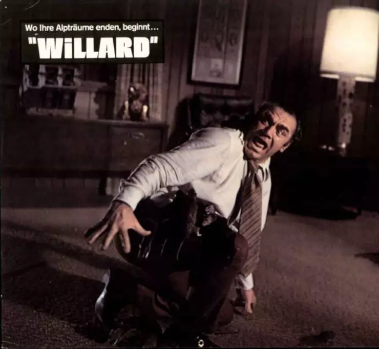Кадр из Уиллард (1971) Кадр 1 из фильма Уиллард / Willard (1971)