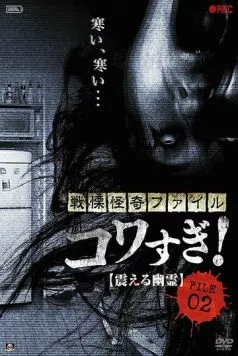 Постер: Ужасающие материалы, файл 2: Дрожащий призрак / Senritsu Kaiki File Kowasugi File 02: Shivering Ghost (2012)