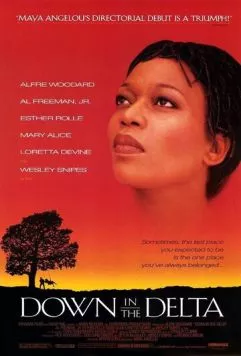 Постер: Возвращение к истокам / Down in the Delta (1998)