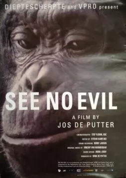 Постер: Не вижу зла / See No Evil (2014)