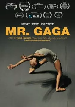 Постер: Мистер Гага / Mr. Gaga (2015)
