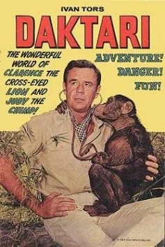 Постер: Дактари / Daktari (1966)
