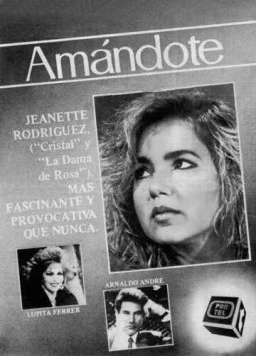 Постер: Люблю тебя / Amándote (1988)
