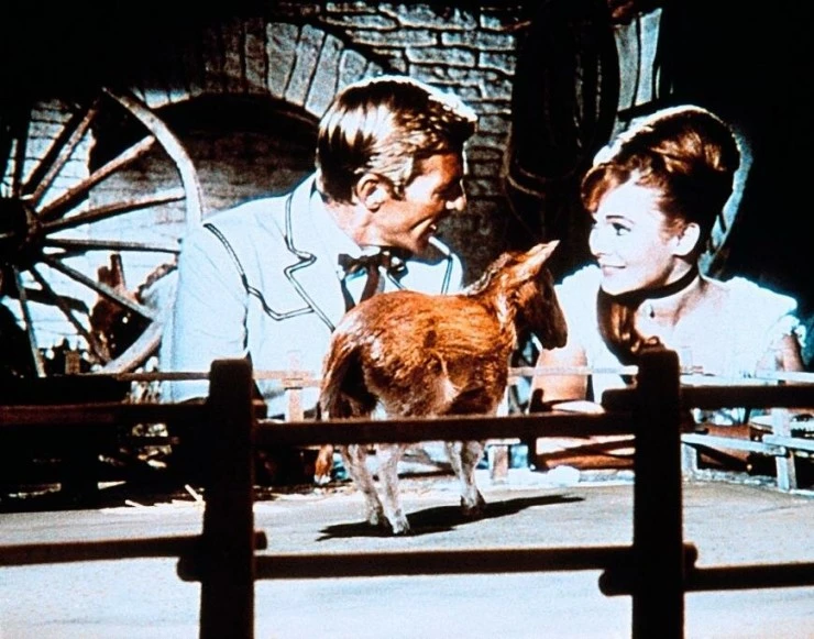 Кадр из Долина Гванги (1969) Кадр 1 из фильма Долина Гванги / The Valley of Gwangi (1969)