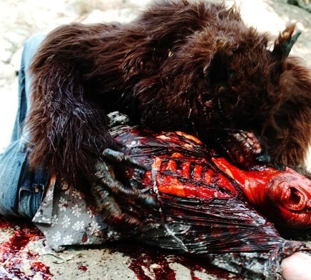 Кадр из Ужасный волк (2009) Кадр 1 из фильма Ужасный волк / Dire Wolf (2009)
