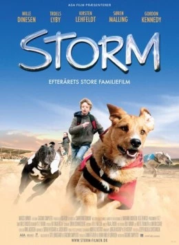 Постер: Шторм / Storm (2009)
