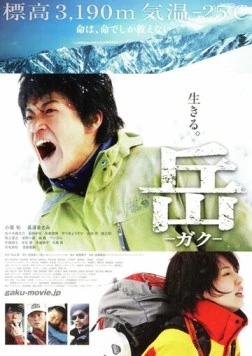 Постер: Вершина: Спасатели / Gaku (2011)