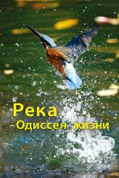 Постер: Река - одиссея жизни / The River - Odyssey of Life (2013)