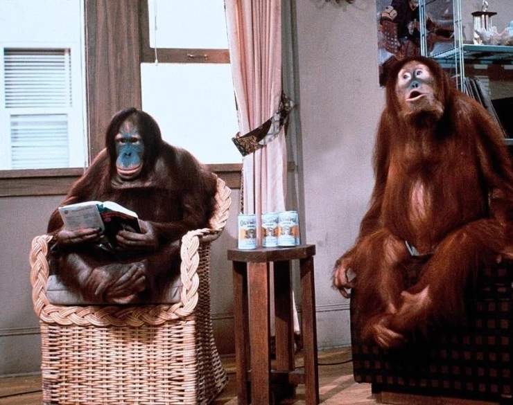 Кадр из Обезьянник (1981) Кадр 2 из фильма Обезьянник / Going Ape! (1981)