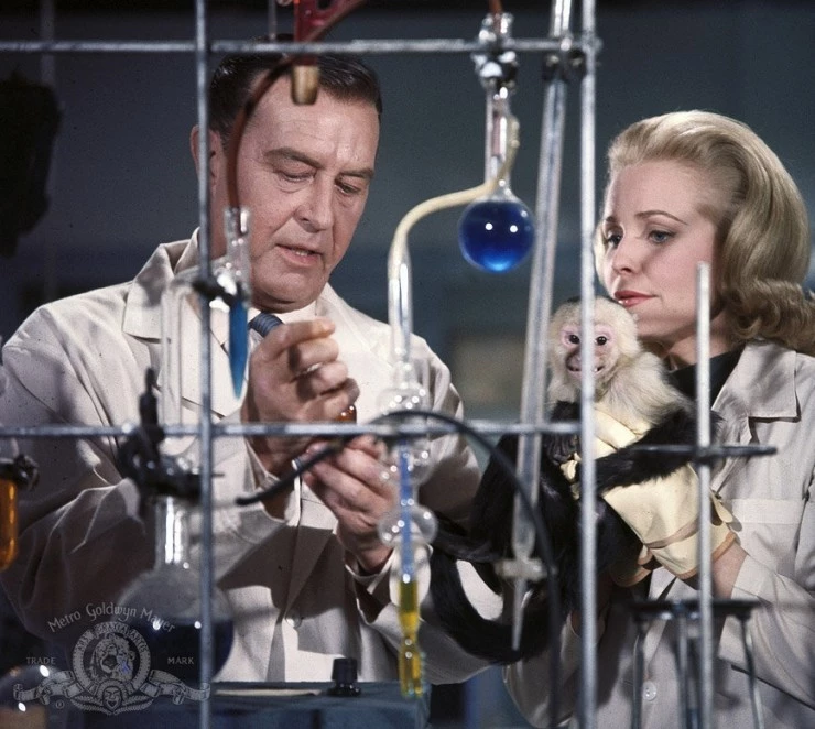Кадр из Человек с рентгеновскими глазами (1963) Кадр 2 из фильма Человек с рентгеновскими глазами / X (1963)