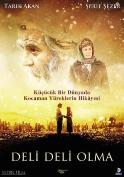 Постер: Не сходи с ума / Deli Deli Olma (2009)