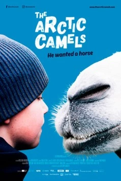 Постер: Мой друг северный верблюд / The Arctic Camels (2019)