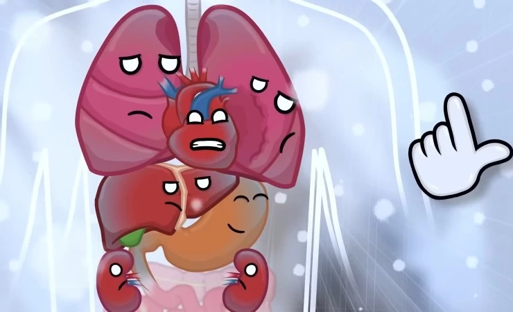 Кадр из Наше тело (2023) Кадр 2 из мультфильма Наше тело / HumanBuddy (2023)
