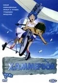 Постер: Хаммербой / Mangchi (2003)