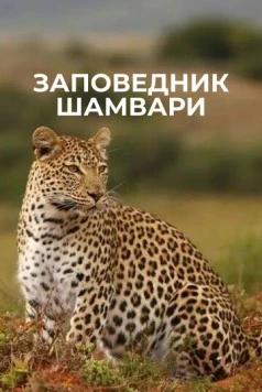 Постер: Заповедник Шамвари / Shamwari Untamed (2018)