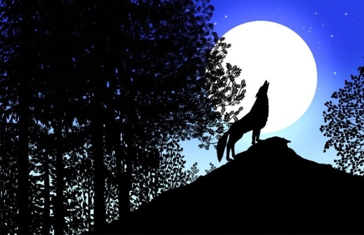 Кадр из Сказки на ночь (2011) Кадр 2 из мультфильма Сказки на ночь / Les contes de la nuit (2011)