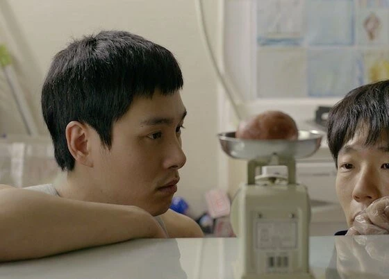 Кадр из Коала (2013) Кадр 1 из фильма Коала / Koalla (2013)