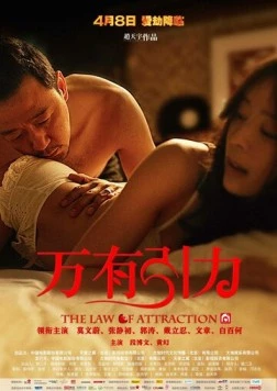 Постер: Законы привлекательности / Wan you yin li (2011)