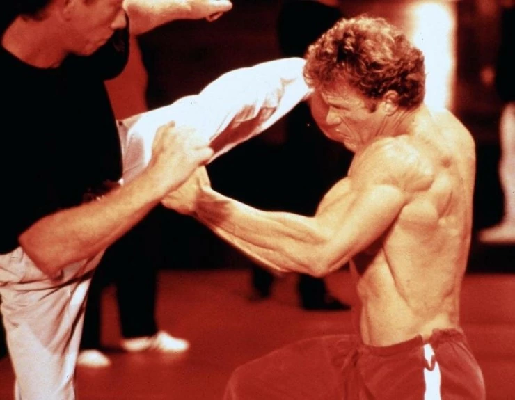 Кадр из Полицейский вне закона (1993) Кадр 1 из фильма Полицейский вне закона / Martial Outlaw (1993)