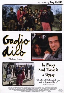 Постер: Странный чужак / Gadjo dilo (1997)