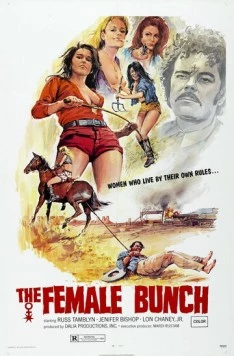 Постер: Женская компания / The Female Bunch (1971)