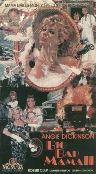 Постер: Нехорошая мамаша 2 / Big Bad Mama II (1987)