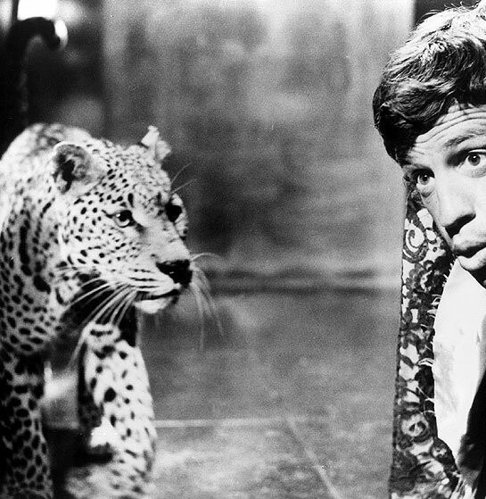 Кадр из Супермозг (1969) Кадр 1 из фильма Супермозг / Le cerveau (1969)