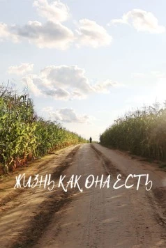 Постер: Жизнь как она есть (2024)