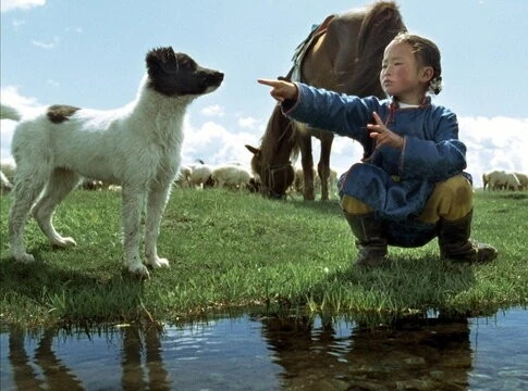 Кадр из Пещера желтого пса (2005) Кадр 2 из фильма Пещера желтого пса / Die Höhle des gelben Hundes (2005)