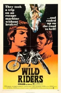 Постер: Дикие мятежники / Wild Riders (1971)