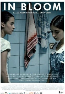 Постер: Длинные светлые дни / Grzeli nateli dgeebi (2013)